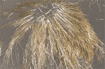 T60-3-2-yucca-hair-partial