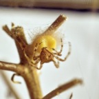 IMG01066 8x12.jpg