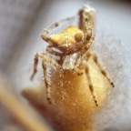 IMG01082 8x12.jpg