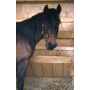 carousel_thumb